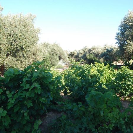Villa Perivoli Platis Gialos  Екстериор снимка