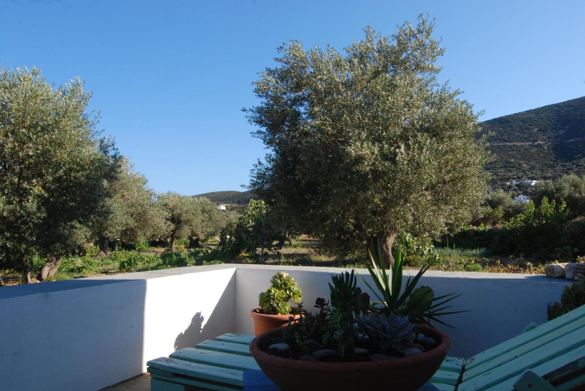Villa Perivoli Platis Gialos  Екстериор снимка